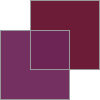 紫苑の色見本