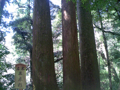 笠森寺の風景